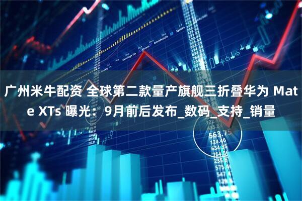 广州米牛配资 全球第二款量产旗舰三折叠华为 Mate XTs 曝光：9月前后发布_数码_支持_销量