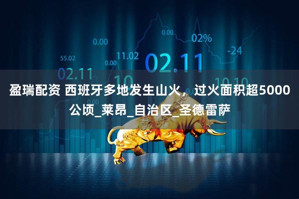 盈瑞配资 西班牙多地发生山火，过火面积超5000公顷_莱昂_自治区_圣德雷萨