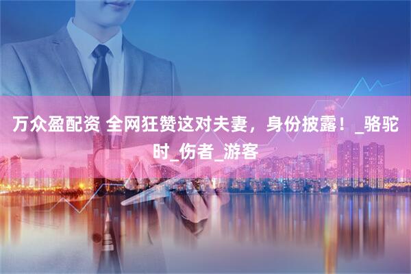 万众盈配资 全网狂赞这对夫妻，身份披露！_骆驼时_伤者_游客
