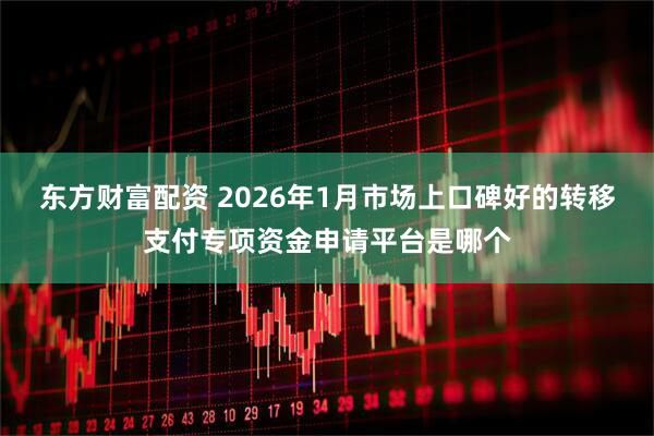 东方财富配资 2026年1月市场上口碑好的转移支付专项资金申请平台是哪个